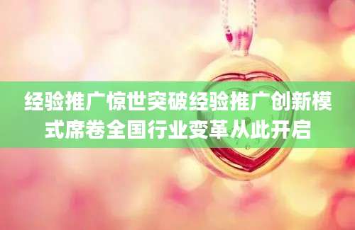 经验推广惊世突破经验推广创新模式席卷全国行业变革从此开启