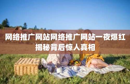 网络推广网站网络推广网站一夜爆红揭秘背后惊人真相