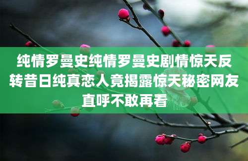 纯情罗曼史纯情罗曼史剧情惊天反转昔日纯真恋人竟揭露惊天秘密网友直呼不敢再看