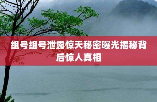 组号组号泄露惊天秘密曝光揭秘背后惊人真相