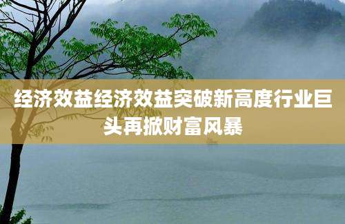 经济效益经济效益突破新高度行业巨头再掀财富风暴