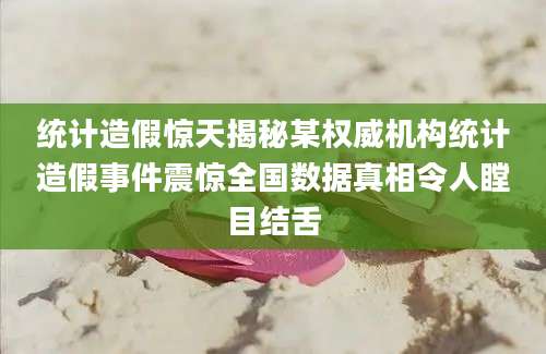 统计造假惊天揭秘某权威机构统计造假事件震惊全国数据真相令人瞠目结舌