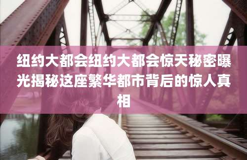 纽约大都会纽约大都会惊天秘密曝光揭秘这座繁华都市背后的惊人真相