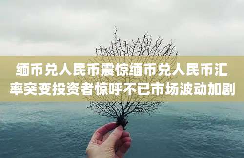 缅币兑人民币震惊缅币兑人民币汇率突变投资者惊呼不已市场波动加剧
