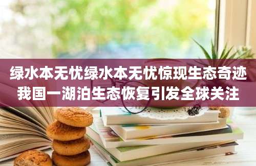 绿水本无忧绿水本无忧惊现生态奇迹我国一湖泊生态恢复引发全球关注