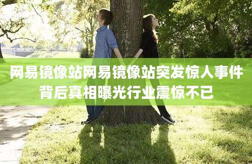 网易镜像站网易镜像站突发惊人事件背后真相曝光行业震惊不已