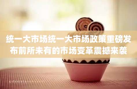 统一大市场统一大市场政策重磅发布前所未有的市场变革震撼来袭