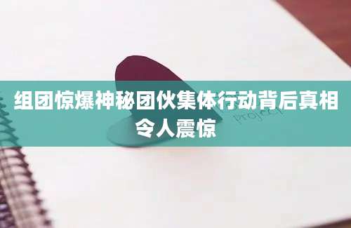 组团惊爆神秘团伙集体行动背后真相令人震惊
