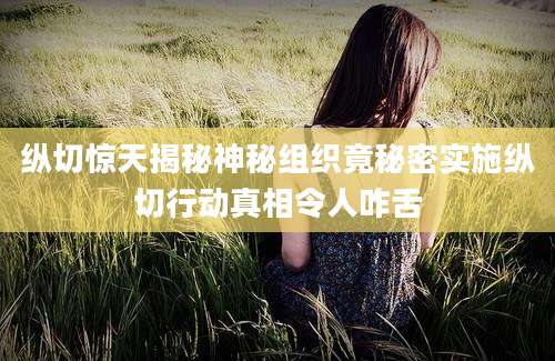纵切惊天揭秘神秘组织竟秘密实施纵切行动真相令人咋舌