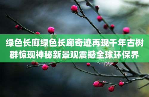 绿色长廊绿色长廊奇迹再现千年古树群惊现神秘新景观震撼全球环保界