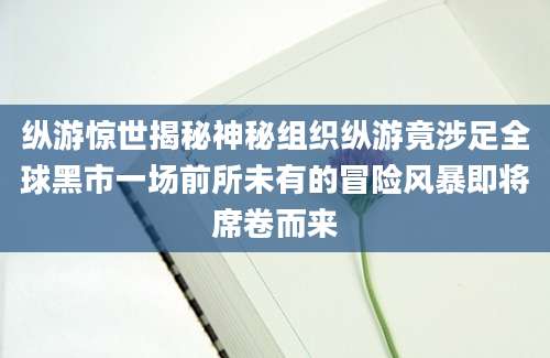 纵游惊世揭秘神秘组织纵游竟涉足全球黑市一场前所未有的冒险风暴即将席卷而来