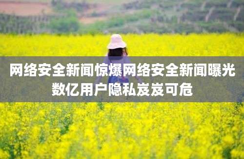 网络安全新闻惊爆网络安全新闻曝光数亿用户隐私岌岌可危