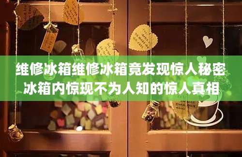 维修冰箱维修冰箱竟发现惊人秘密冰箱内惊现不为人知的惊人真相