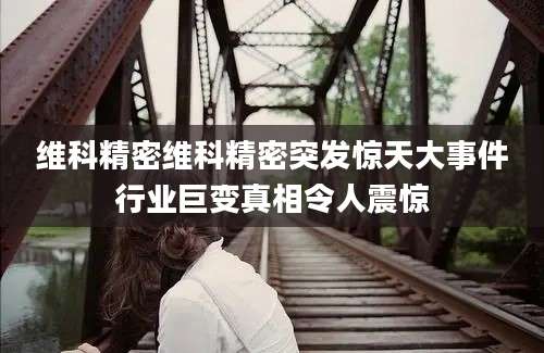 维科精密维科精密突发惊天大事件行业巨变真相令人震惊