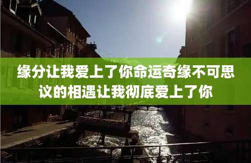 缘分让我爱上了你命运奇缘不可思议的相遇让我彻底爱上了你