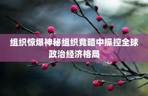 组织惊爆神秘组织竟暗中操控全球政治经济格局