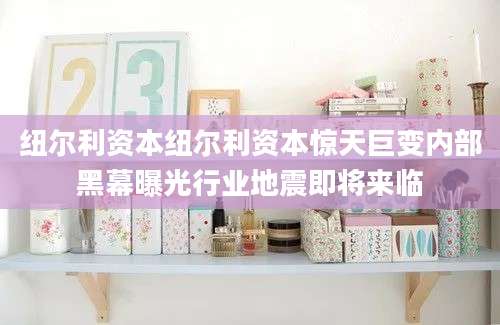 纽尔利资本纽尔利资本惊天巨变内部黑幕曝光行业地震即将来临