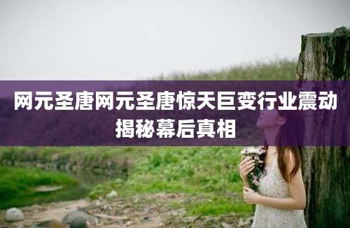 网元圣唐网元圣唐惊天巨变行业震动揭秘幕后真相