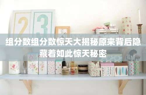 组分数组分数惊天大揭秘原来背后隐藏着如此惊天秘密