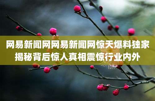 网易新闻网网易新闻网惊天爆料独家揭秘背后惊人真相震惊行业内外
