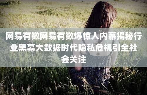 网易有数网易有数爆惊人内幕揭秘行业黑幕大数据时代隐私危机引全社会关注