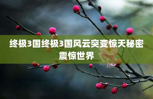 终极3国终极3国风云突变惊天秘密震惊世界