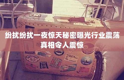 纷扰纷扰一夜惊天秘密曝光行业震荡真相令人震惊