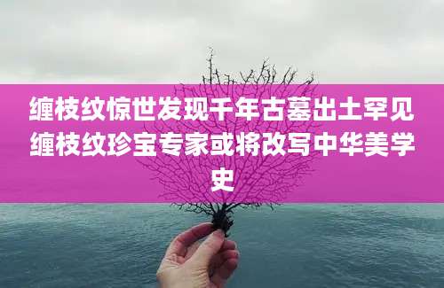 缠枝纹惊世发现千年古墓出土罕见缠枝纹珍宝专家或将改写中华美学史