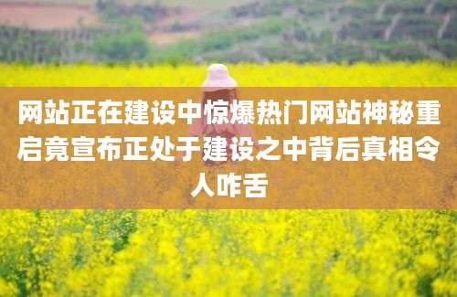 网站正在建设中惊爆热门网站神秘重启竟宣布正处于建设之中背后真相令人咋舌