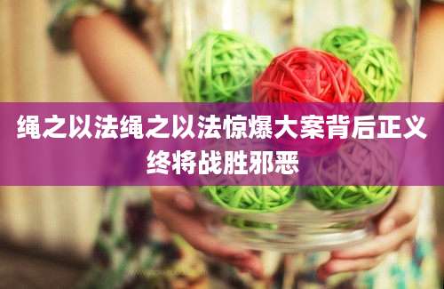 绳之以法绳之以法惊爆大案背后正义终将战胜邪恶
