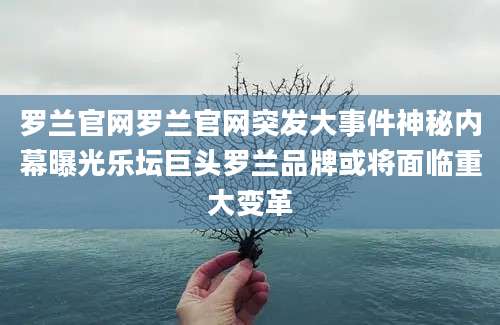 罗兰官网罗兰官网突发大事件神秘内幕曝光乐坛巨头罗兰品牌或将面临重大变革