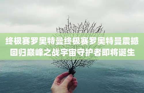 终极赛罗奥特曼终极赛罗奥特曼震撼回归巅峰之战宇宙守护者即将诞生