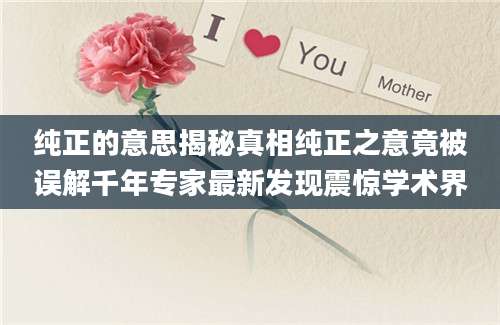 纯正的意思揭秘真相纯正之意竟被误解千年专家最新发现震惊学术界