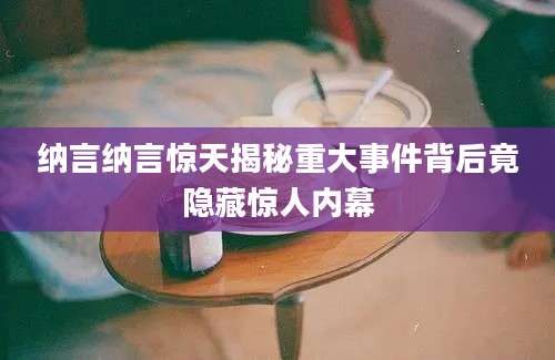 纳言纳言惊天揭秘重大事件背后竟隐藏惊人内幕