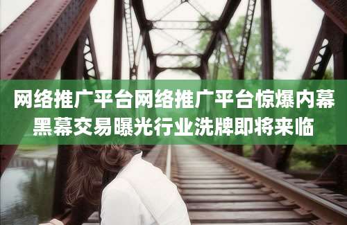 网络推广平台网络推广平台惊爆内幕黑幕交易曝光行业洗牌即将来临