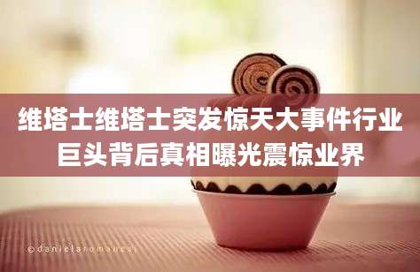 维塔士维塔士突发惊天大事件行业巨头背后真相曝光震惊业界