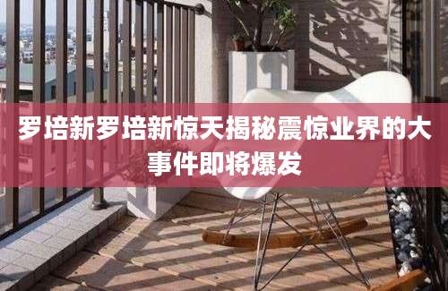 罗培新罗培新惊天揭秘震惊业界的大事件即将爆发