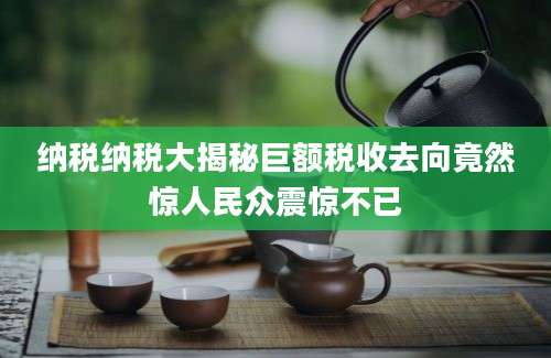 纳税纳税大揭秘巨额税收去向竟然惊人民众震惊不已