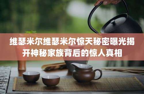 维瑟米尔维瑟米尔惊天秘密曝光揭开神秘家族背后的惊人真相
