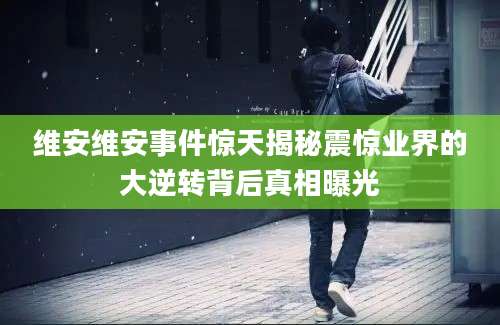 维安维安事件惊天揭秘震惊业界的大逆转背后真相曝光