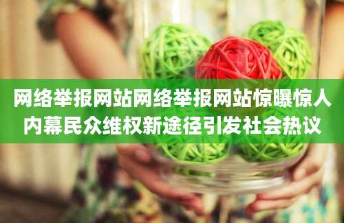 网络举报网站网络举报网站惊曝惊人内幕民众维权新途径引发社会热议