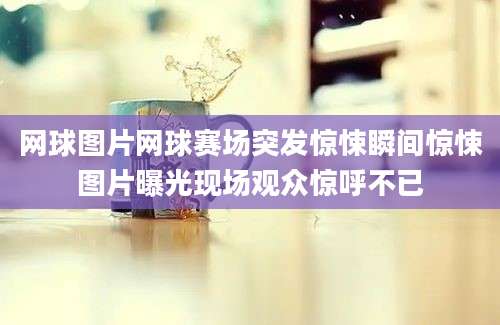 网球图片网球赛场突发惊悚瞬间惊悚图片曝光现场观众惊呼不已