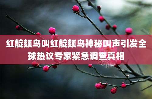红靛颏鸟叫红靛颏鸟神秘叫声引发全球热议专家紧急调查真相