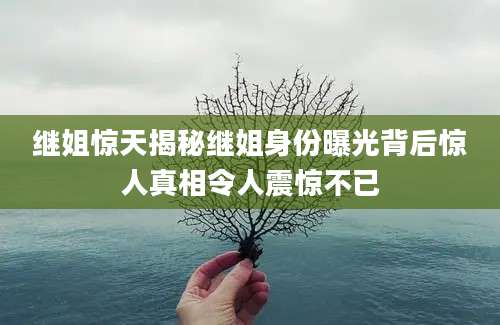 继姐惊天揭秘继姐身份曝光背后惊人真相令人震惊不已