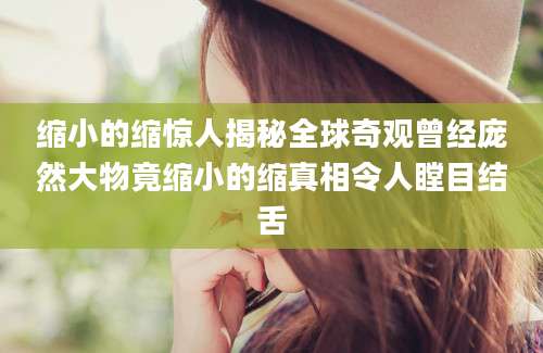 缩小的缩惊人揭秘全球奇观曾经庞然大物竟缩小的缩真相令人瞠目结舌