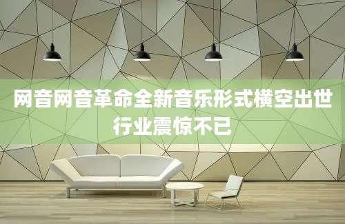网音网音革命全新音乐形式横空出世行业震惊不已