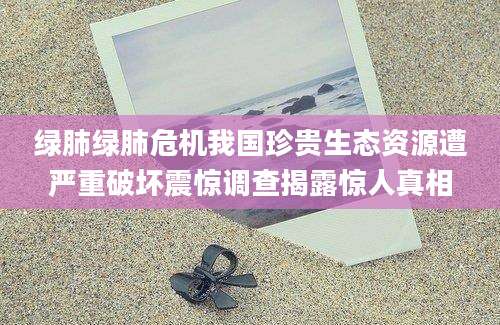绿肺绿肺危机我国珍贵生态资源遭严重破坏震惊调查揭露惊人真相