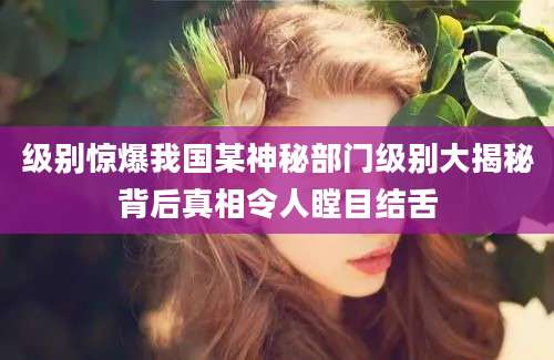 级别惊爆我国某神秘部门级别大揭秘背后真相令人瞠目结舌