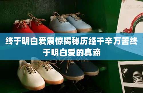终于明白爱震惊揭秘历经千辛万苦终于明白爱的真谛