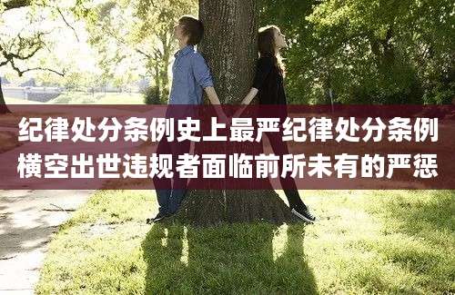 纪律处分条例史上最严纪律处分条例横空出世违规者面临前所未有的严惩